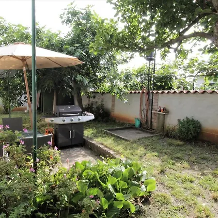 House Vilma